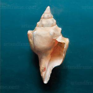 Conch